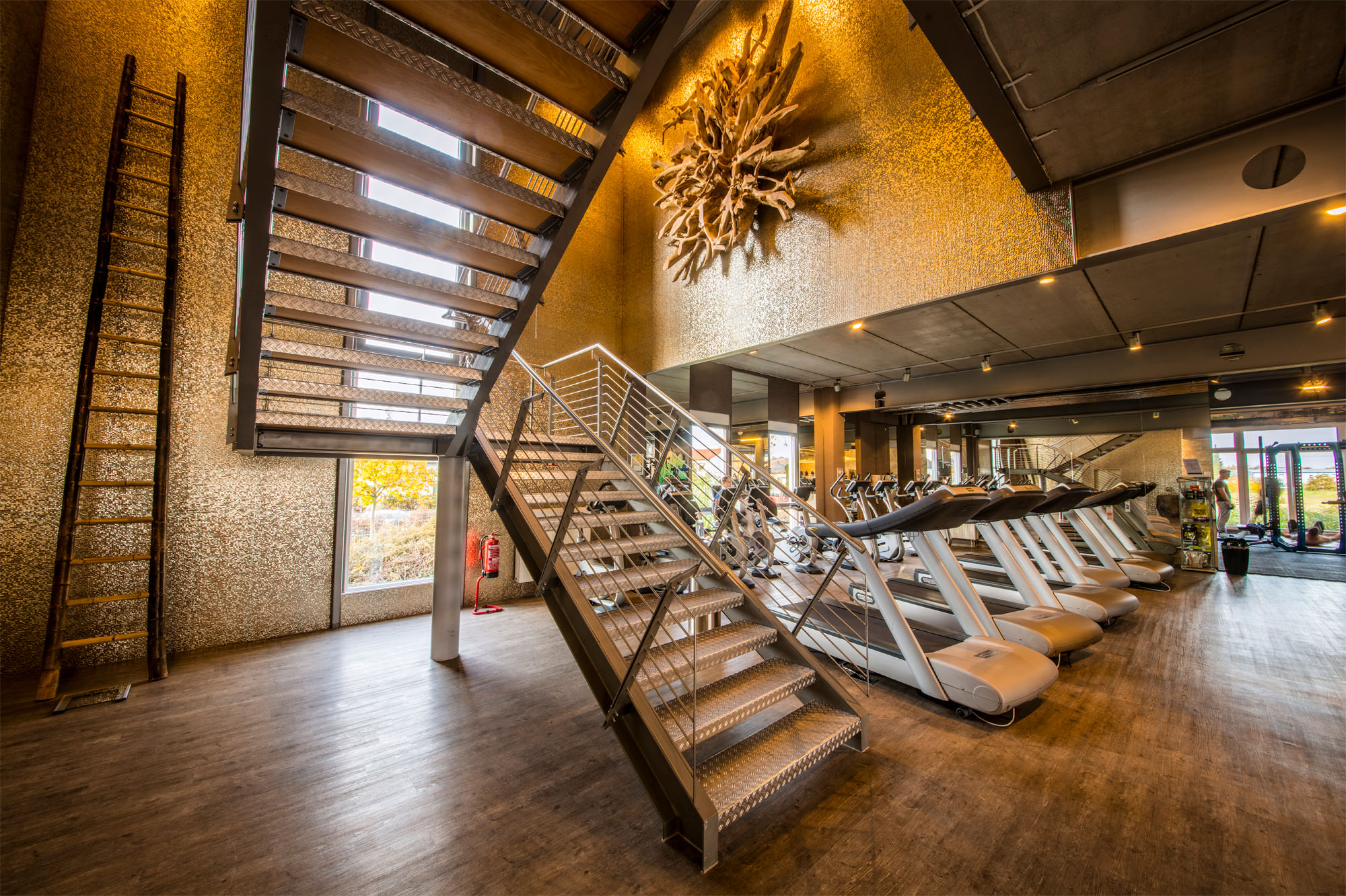 MIS_Body-Culture-Gross-Gerau_Cardiogeraete