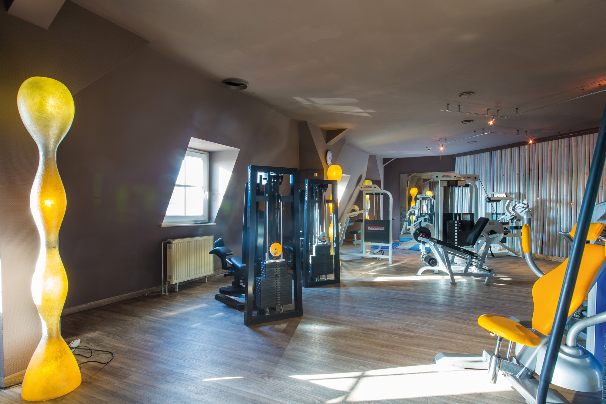 MIS_Fitnessfabrik-Darmstadt_Fitnessgeraete